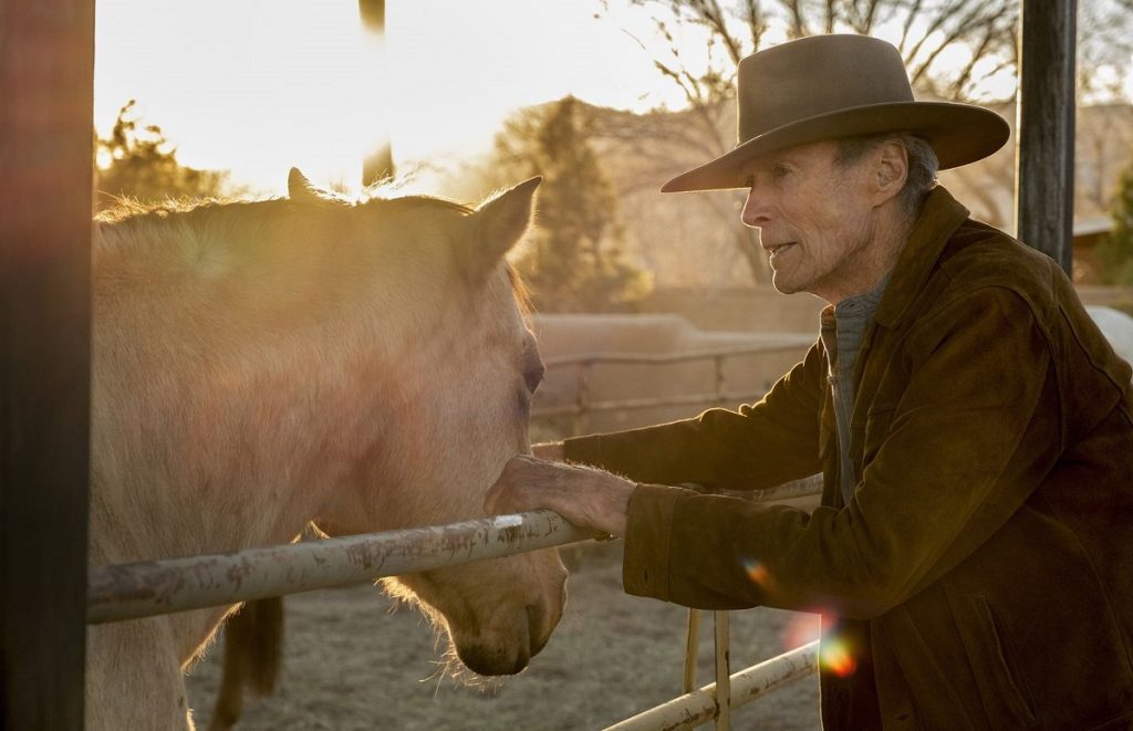Cry-Macho Mike ed il cavallo