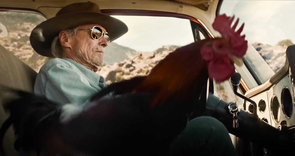 Cry-Macho Mike ed il gallo Macho